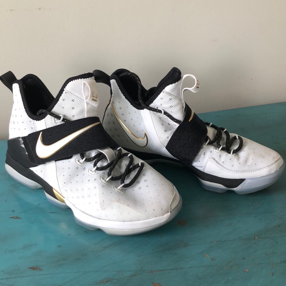 Lebron James XIV